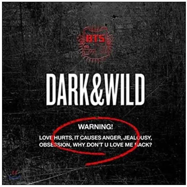 BTS 1ST ALBUM, DARK & WILD